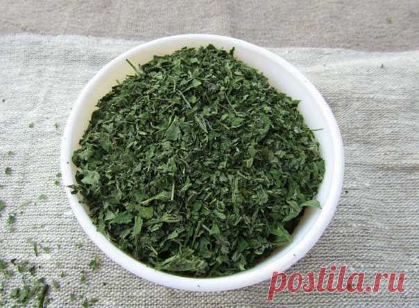 ЗУБНОЙ ПОРОШОК ИЗ КРАПИВЫ - отличное чистящее и лечебное средство.

Зубной порошок из крапивы готовится из листьев, цветов, семян и корней. Надо только собрать листья крапивы трижды за сезон. Первый сбор весной, как только появится первая крапива — в мае. Даже есть свой день по лунному календарю для лучшего сбора крапивы. Весенняя крапива это витамины для ваших зубов, десен и всего организма. Во время цветения (несколько дней цветет крапива!) — второй сбор крапивы. И трети...