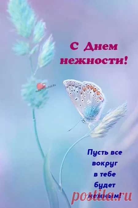 "С Международным Днем нежности"