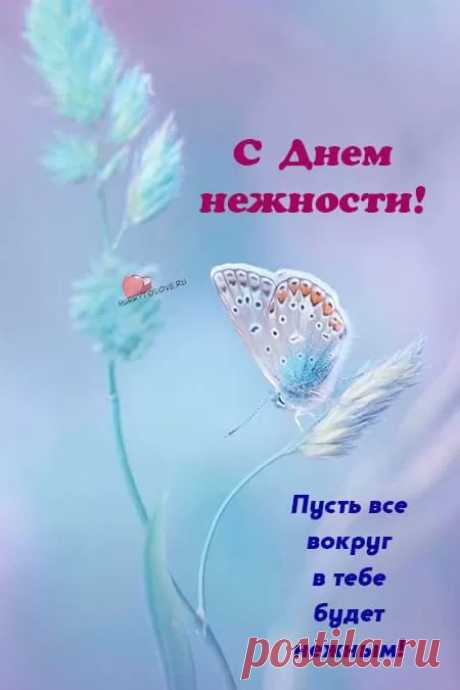 &quot;С Международным Днем нежности&quot;