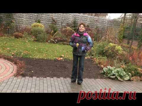 99. Сеем морковь под зиму. — Яндекс.Видео