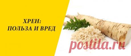Хрен: польза и вред для здоровья организма человека Хрен: польза и вред для здоровья организма человека, применение в народной медицине, в косметологии и кулинарии.