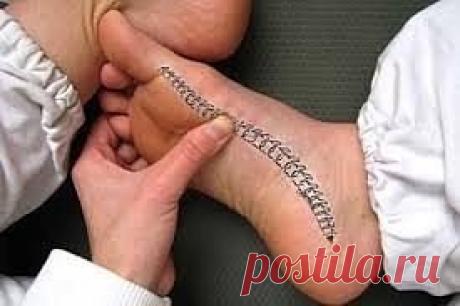 Массаж ребра стопы устранит боли в спине
На ребре стопы спроецированы все проблемные зоны спины. Их можно
обнаружить нащупыванием болезненных точек. Благодаря своеобразной методике массажа на стопе можно найти весь «позвоночник.
Сядьте на пол в удобную позу и скрестите ноги. Теперь возьмите любую из своих стоп в руки, как показано на фото. Посмотрите и представьте линию позвоночника, которая находится между большим пальцем и пяткой, на внутреннем "ребре". Это и есть своеобразная проекция вашег