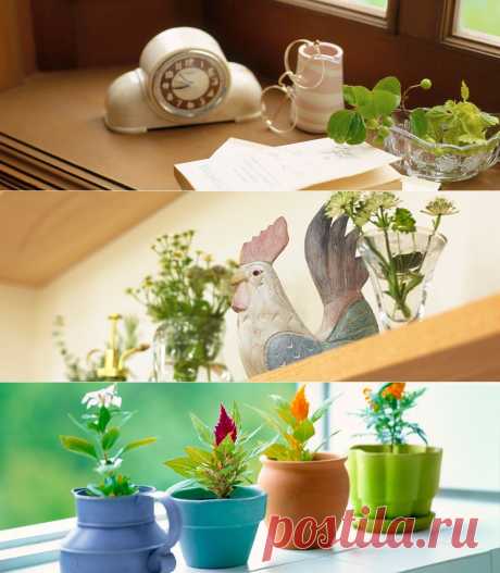Фитодизайн - Natur Flower
