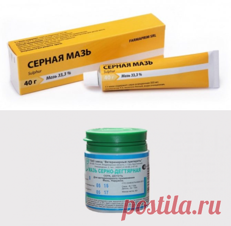 Мазь от перхоти: серная или цинковая. Чем лучше мазать?