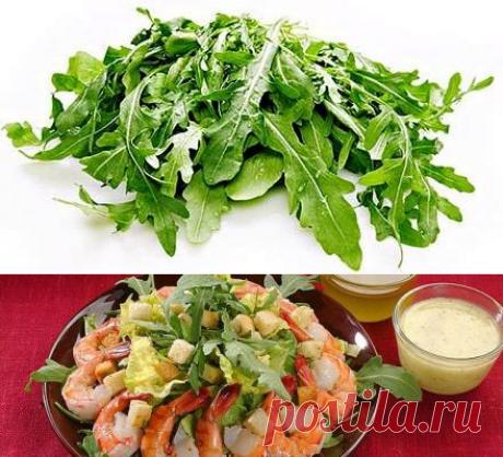 Знакомимся с рукола. Что такое рукола, польза рукола, салаты с руколой