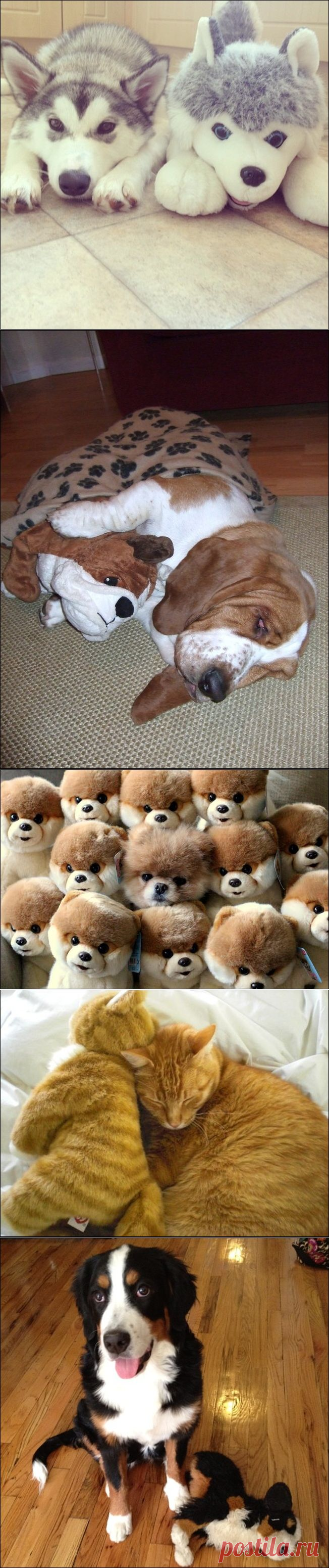 25 животных, которые нашли своих игрушечных двойников