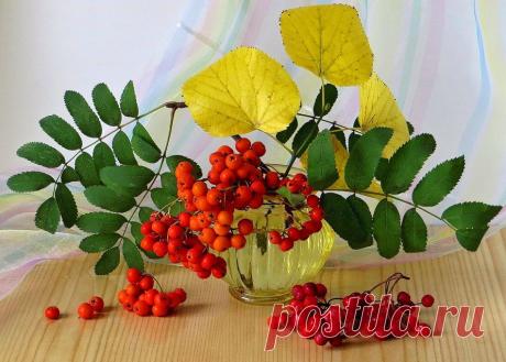 Людмила Микелюнене - Вильнюс, Литва на Мой Мир@Mail.ru