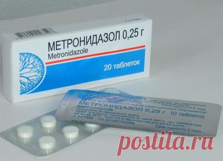 Опытный садовод поделился секретом средства от всех болезней рассады — Копилочка полезных советов