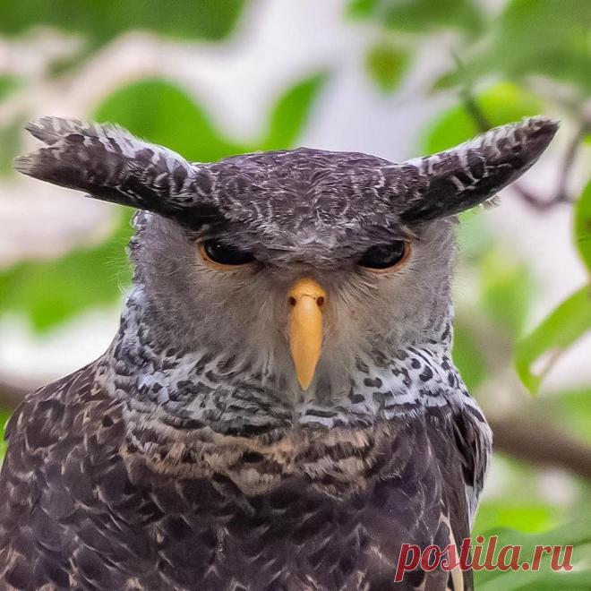 (21) Живая Земля - Публикации