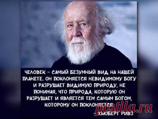 Одноклассники
