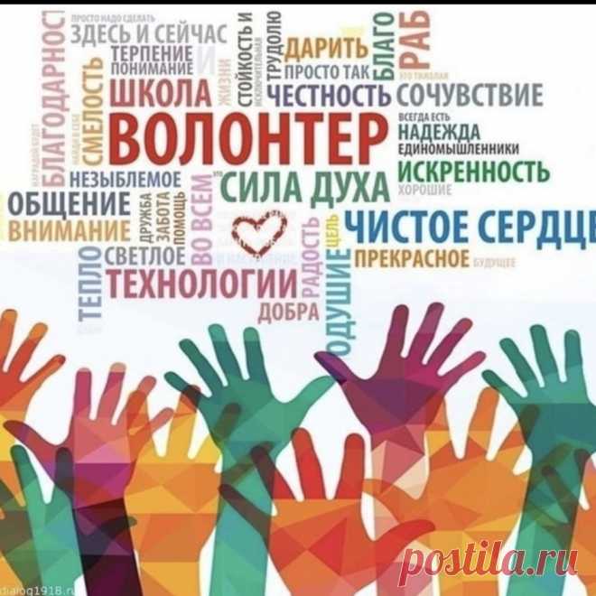 Поздравляем волонтёров,
Дорогие, добровольцы,
Мы за всё благодарим,
Принять почести извольте,
Труд ваш так неоценим!