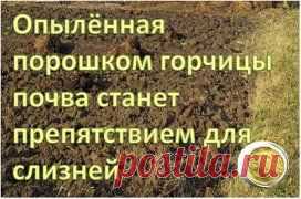 СЛИЗНИ
