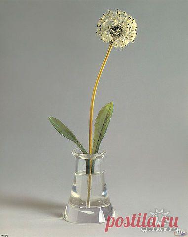 ✿*✿* ВЕРНИСАЖ *✿*✿
இڿڰۣ-ڰ Екатерина இڿڰۣ-ڰۣ