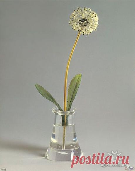 ✿*✿* ВЕРНИСАЖ *✿*✿
இڿڰۣ-ڰ Екатерина இڿڰۣ-ڰۣ