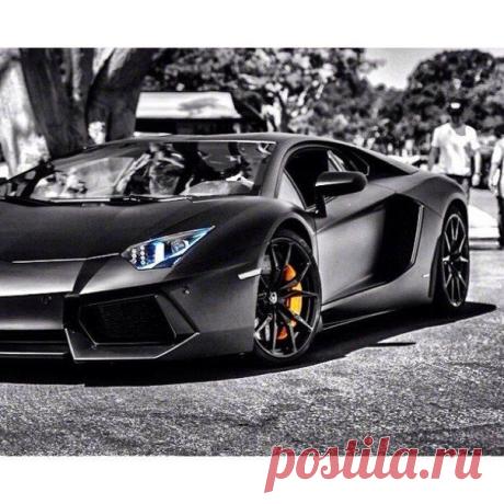 Lamborghini Aventador / Только машины