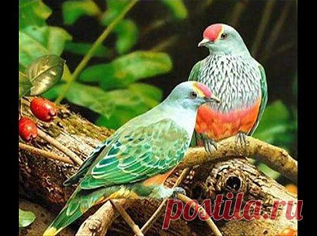 Мой Мир@Mail.Ru