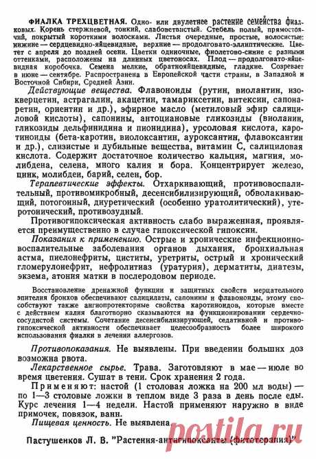 Фиалка трехцветная
