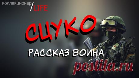 Сцуко - рассказ воина