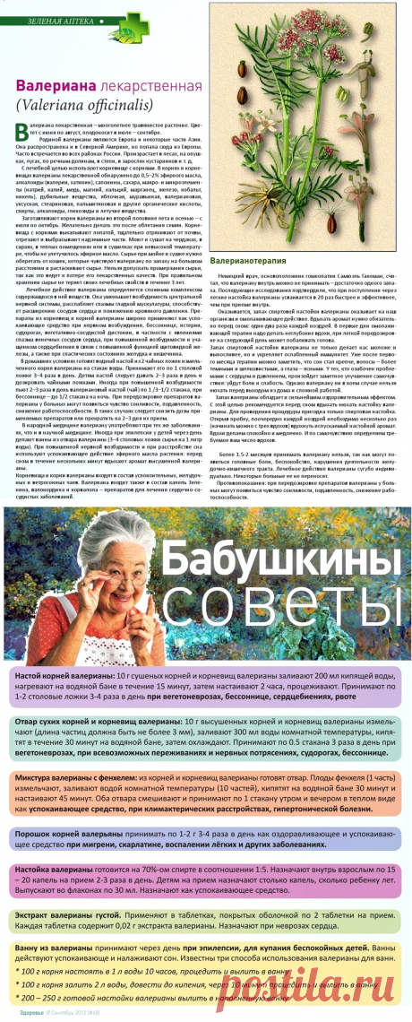 Валериана лекарственная