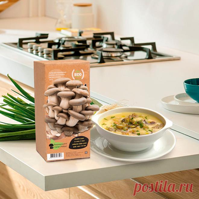 Живете далеко от леса, но любите свежие грибочки? Значит самое время организовать филиал лесной поляны у себя на балконе! Заведите домашнюю грибницу "Опята" и собирайте полностью натуральные урожаи в удобном для вас месте. Никаких комаров и мокрых веток в лицо~