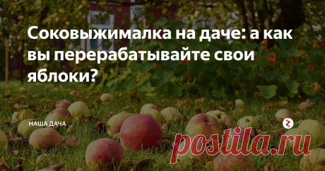 Соковыжималка на даче: а как вы перерабатывайте свои яблоки? Среди прочих вещей досталась мне в наследство соковыжималка – еще советская, белорусского производства. Новехонькая, в коробке с книжечкой-инструкцией. Не чета нынешним, когда на выходе мы получаем стакан фреша – для диетического и правильного питания, а основательная такая, большая, устойчивая, тяжелая. Такой переработать ведро яблок – раз плюнуть! Когда сынок был грудным, я в этой соковыжималке
