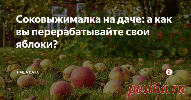 Соковыжималка на даче: а как вы перерабатывайте свои яблоки? Среди прочих вещей досталась мне в наследство соковыжималка – еще советская, белорусского производства. Новехонькая, в коробке с книжечкой-инструкцией. Не чета нынешним, когда на выходе мы получаем стакан фреша – для диетического и правильного питания, а основательная такая, большая, устойчивая, тяжелая. Такой переработать ведро яблок – раз плюнуть! Когда сынок был грудным, я в этой соковыжималке
