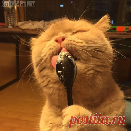 Счастье есть! Желательно большой ложкой!