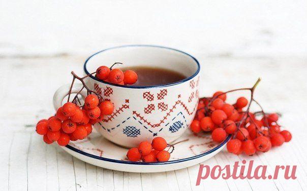 Настои трав для очищения сосудов