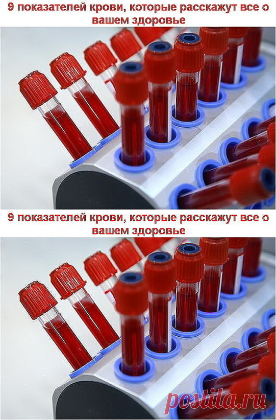 Показатели крови