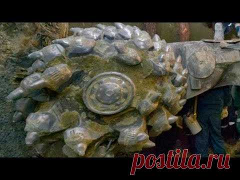 Это нашли не берегу моря. Откуда такое на Земле?