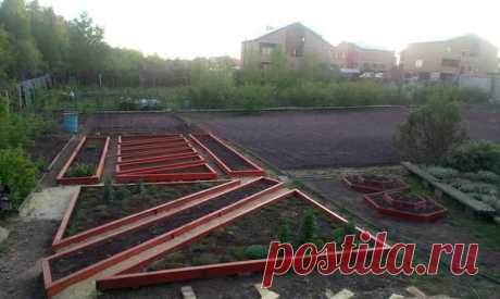Записки старого ворчуна (продолжение) - благоустройство участка