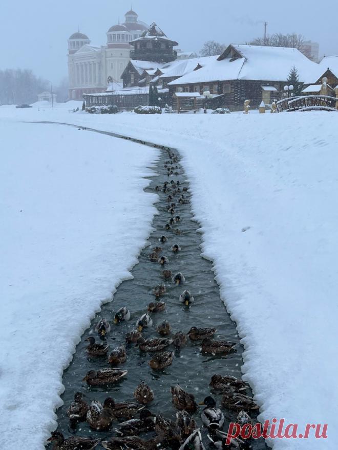 В ожидании весны. Саранск.