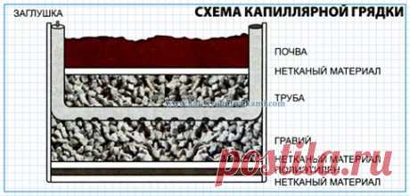 Капиллярная грядка своими руками | Своими руками - Как сделать самому