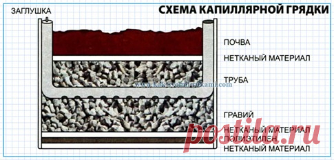 Капиллярная грядка своими руками | Своими руками - Как сделать самому