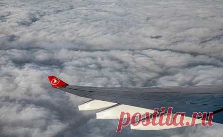 СПЧ обратилась к послу Турции из-за недопуска Turkish Airlines россиян. В СПЧ рассчитывают, что власти дадут оценку нарушению права на свободу перемещения россиян. Turkish Airlines перестала пускать россиян на свои рейсы в страны Латинской Америки, объяснив это ужесточением правил въезда