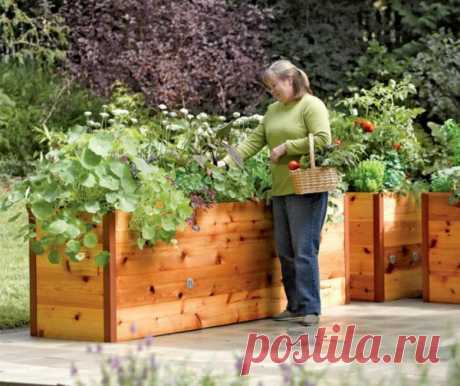 Из чего сделать высокие тёплые грядки, без которых не обойтись на даче - Идеальная хозяйка