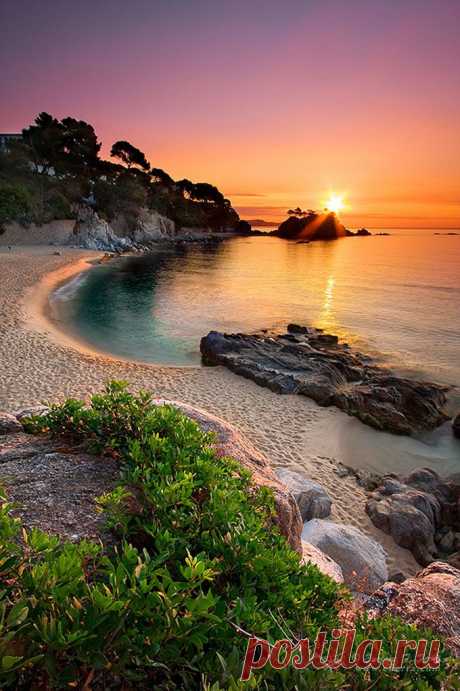40 Amazing Places To Experience Around the Globe (Part 1) - CAT IN WATER
