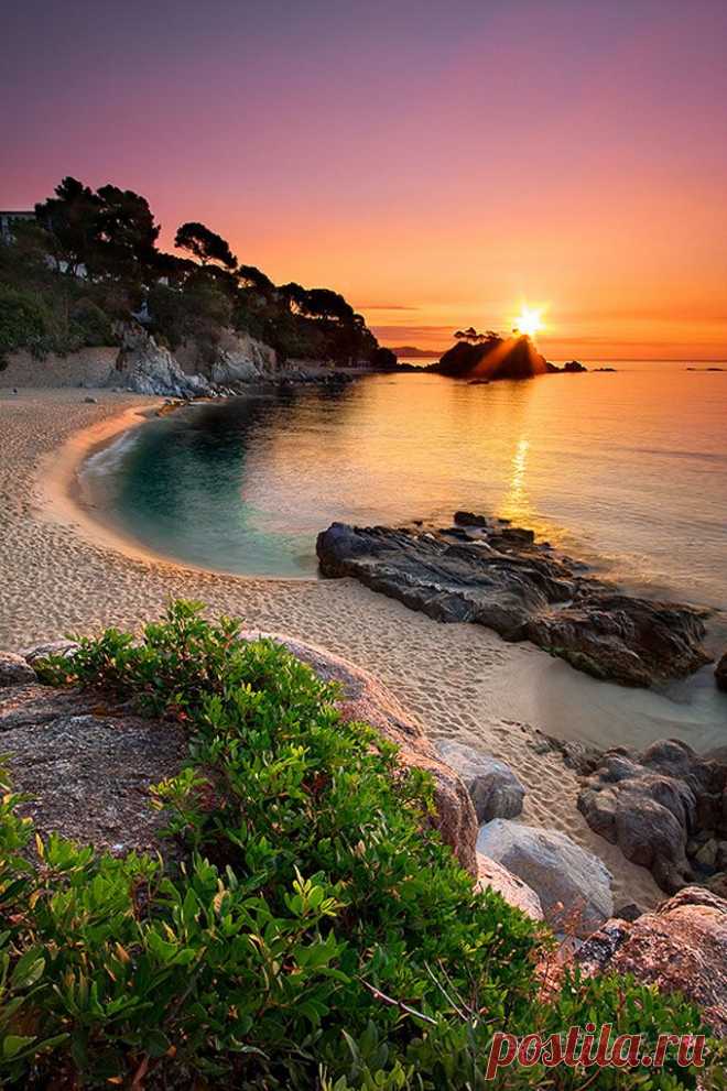 40 Amazing Places To Experience Around the Globe (Part 1) - CAT IN WATER