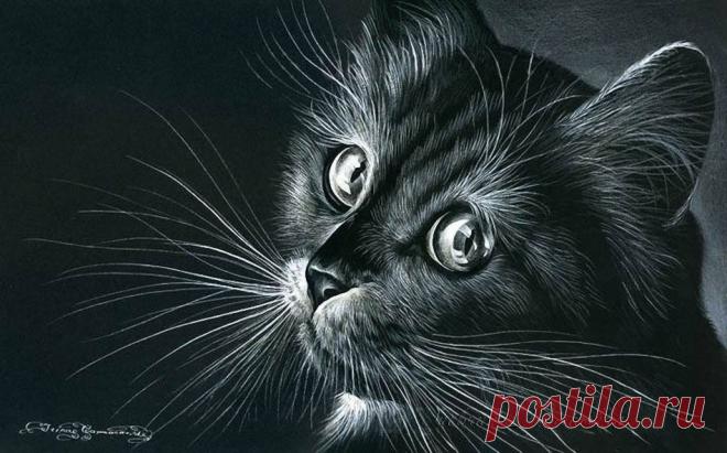 Подари мне в полосочку кошку... Художница Irina Garmashova-Cawton.