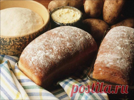 Ржаной хлеб на закваске из кефира невероятный божественный вкус 

Я очень люблю готовить домашний бездрожжевой хлеб. Люблю экспериментировать с рецептами, изучать тонкости дела.


Выискивая новые рецепты, выбрала для себя хлеб на ржаной закваске. Во-первых, он для…