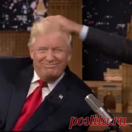 2.000.000 просмотров. Клип про Трампа и Путина - МирТесен