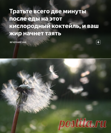 Тратьте всего две минуты после еды на этот кислородный коктейль, и ваш жир начнет таять | Вечерний чай | Яндекс Дзен
