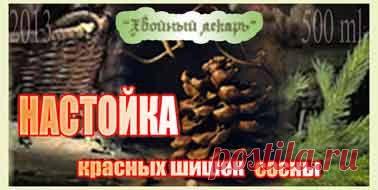 Настойка зеленых сосновых шишек от кашля