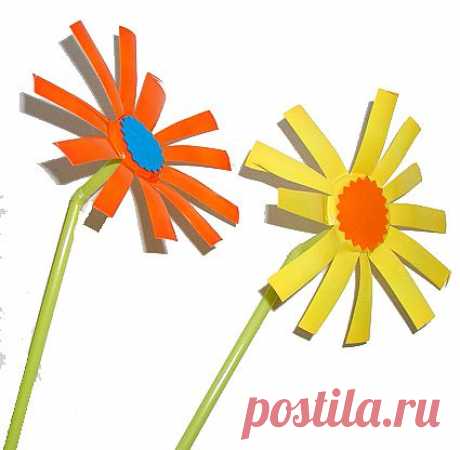 Цветы по мотивам Пикассо