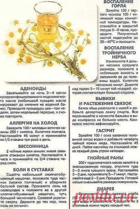 ЗАБЫТЫЕ РЕЦЕПТЫ ОТ А ДО Я. 
ЭТОТ НАПИТОК, УМИРАЮЩЕГО НА НОГИ ПОСТАВИТ! 
 
Чтобы НЕ потерять рецепт, СОХРАНИТЕ к себе на стенку!! 
 
Овес - эликсир жизни - поднимет на ноги даже самого тяжелого больного: решает многие проблемы со здоровьем и восстанавливает силы. 
 
Можно просто пить как чай: 1 ст. ложка овса на 2 стакана воды, кипятить около часа на медленном огне, под крышкой. 
 
Один из самых лучших рецептов для оздоровления. 
 
* Один стакан зерен овса (в крайнем случае...