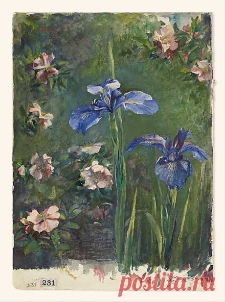 John La Farge (American, 1835–1910). Wild Roses and Irises, 1887. The Metropolitan Museum of Art, New York. Gift of Priscilla A. B. Henderson, in memory of her grandfather, Russell Sturgis, a founder of The Metropolitan Museum of Art, 1950 (50.113.3) #iris #flower  |  Pinterest • Всемирный каталог идей