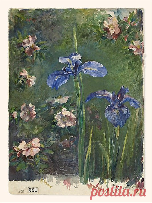 John La Farge (American, 1835–1910). Wild Roses and Irises, 1887. The Metropolitan Museum of Art, New York. Gift of Priscilla A. B. Henderson, in memory of her grandfather, Russell Sturgis, a founder of The Metropolitan Museum of Art, 1950 (50.113.3) #iris #flower  |  Pinterest • Всемирный каталог идей