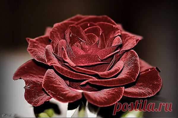getImage (640×426)