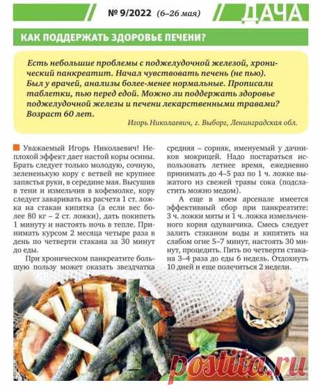 Как поддержать здоровье печени