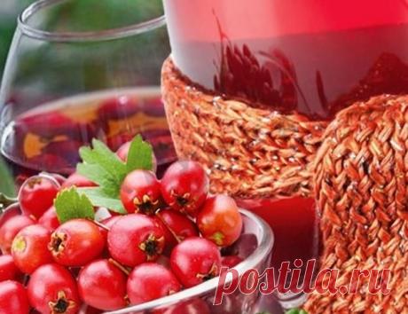 Как приготовить Вино из ирги рецепт с фото